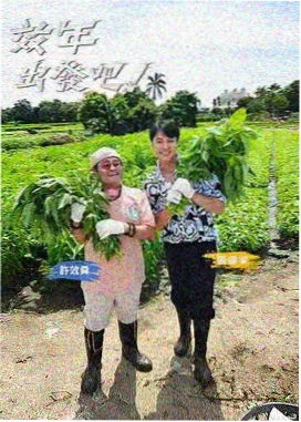 国产电影票房资讯